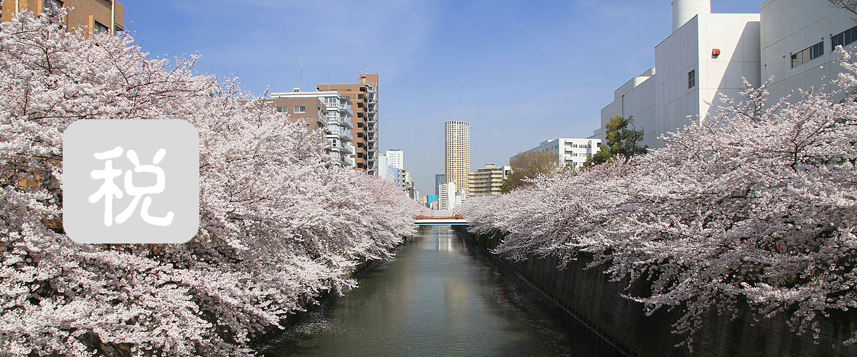 目黒川の桜並木