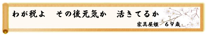 川柳優秀作